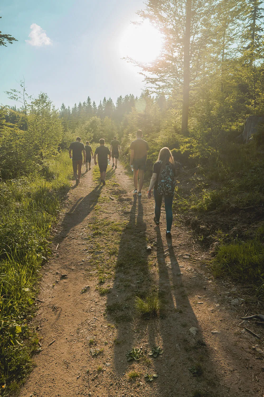 The Coditive team walking a forest trail in the evening sun